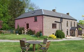 Brynderwen